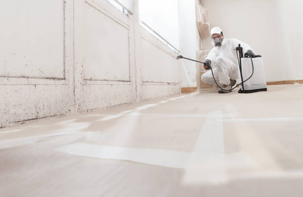 24/7 Emergency Mold Remediation experts in Chester, PA